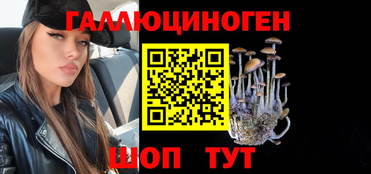 Псилоцибиновые грибы Psilocybe Лабинск