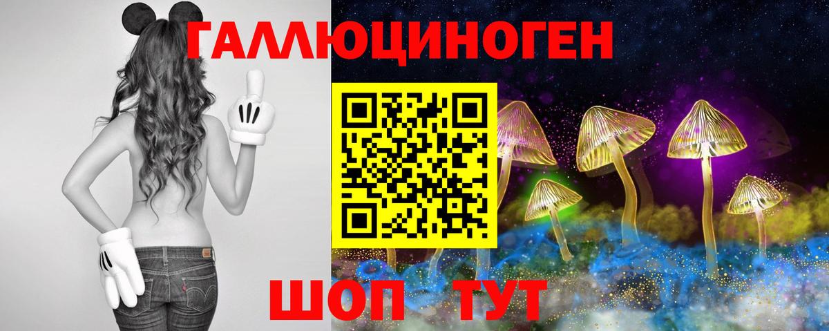 Псилоцибиновые грибы Cubensis  Вход с VPN  Галлюциногенные грибы Psilocybine cubensis  хочу наркоту  Лабинск 